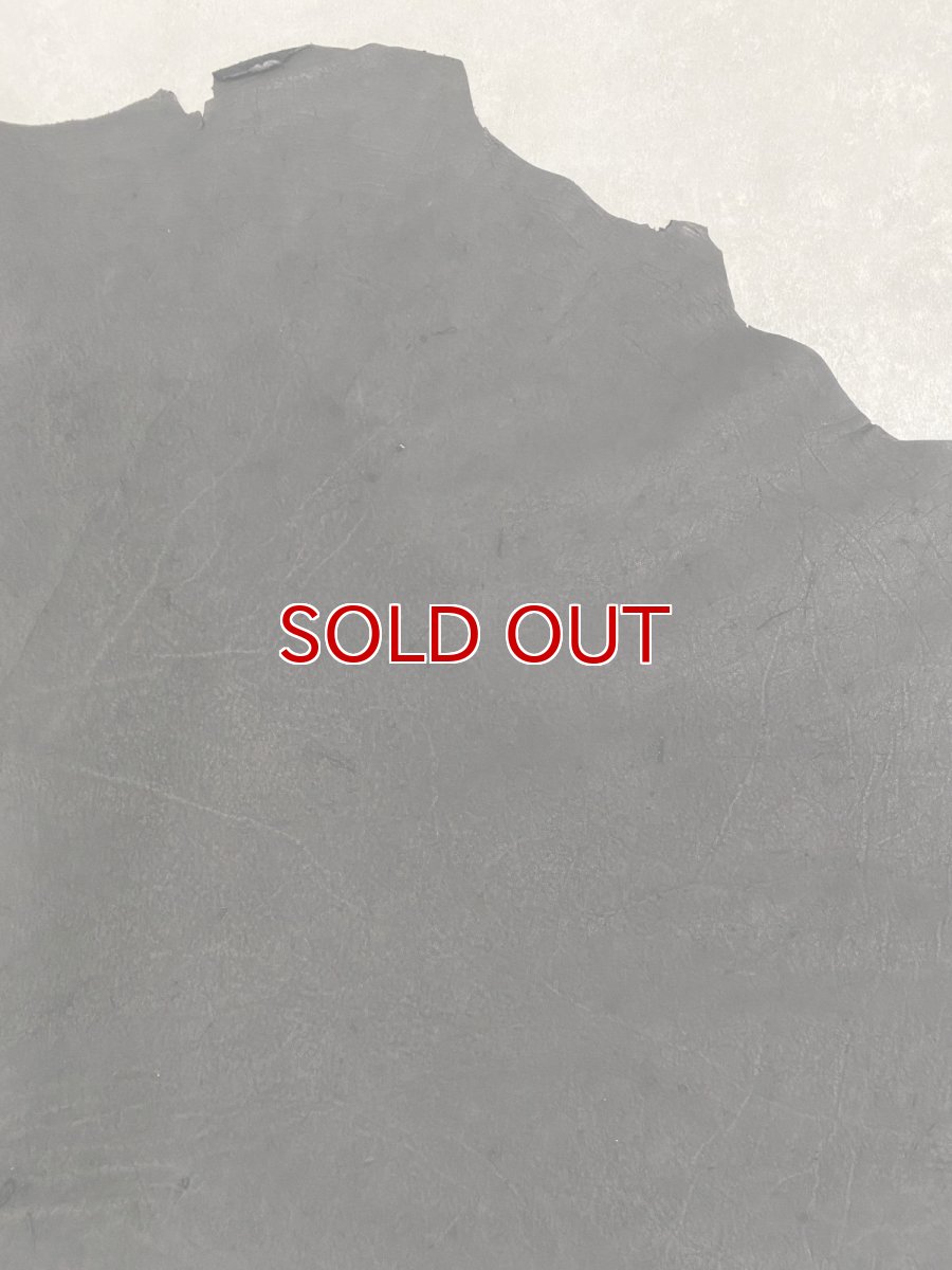 画像7: エレファントレザー　ブラック　ゾウ革　象革　耳　エキゾチックレザー (7)