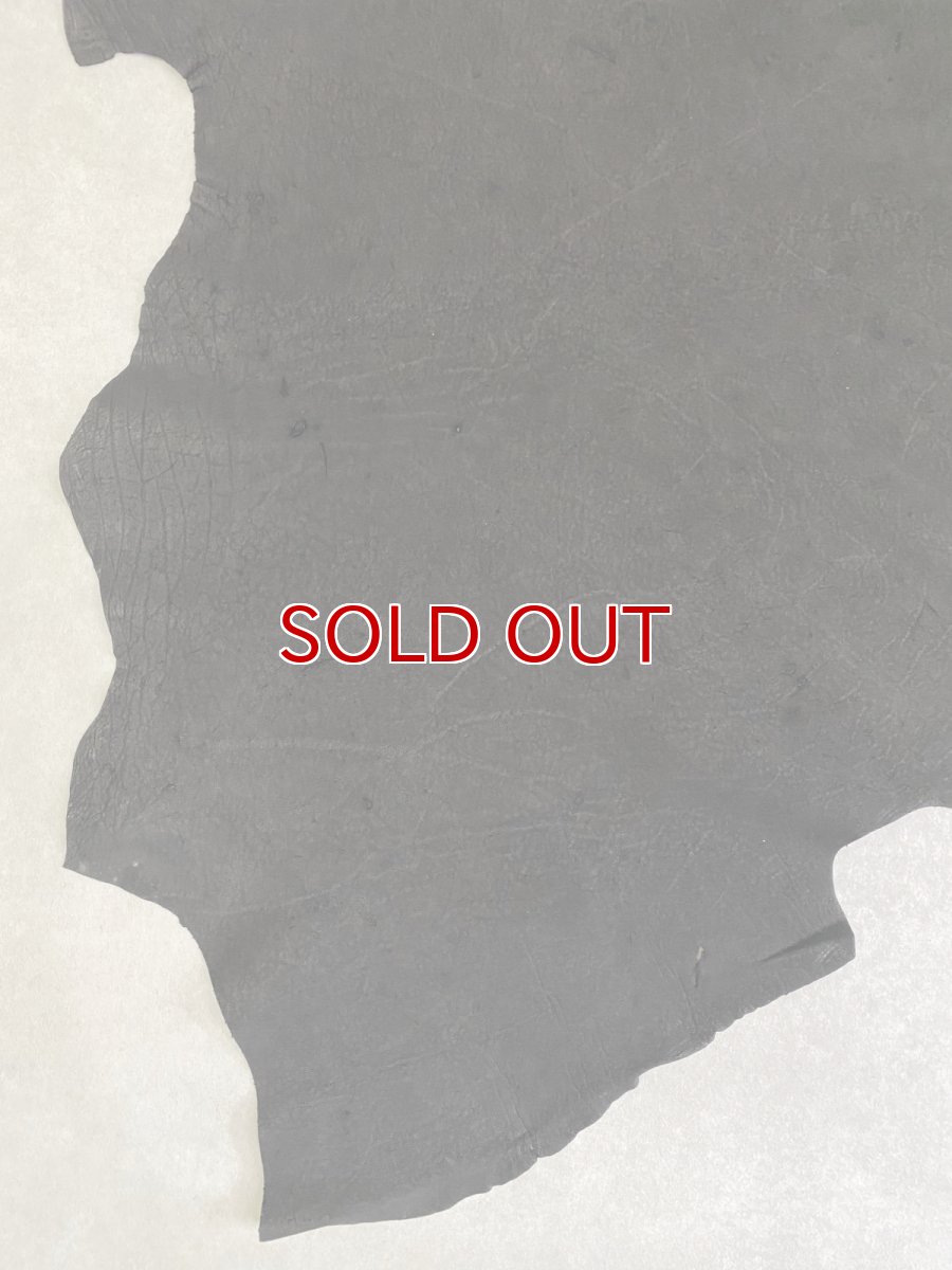 画像8: エレファントレザー　ブラック　ゾウ革　象革　耳　エキゾチックレザー (8)