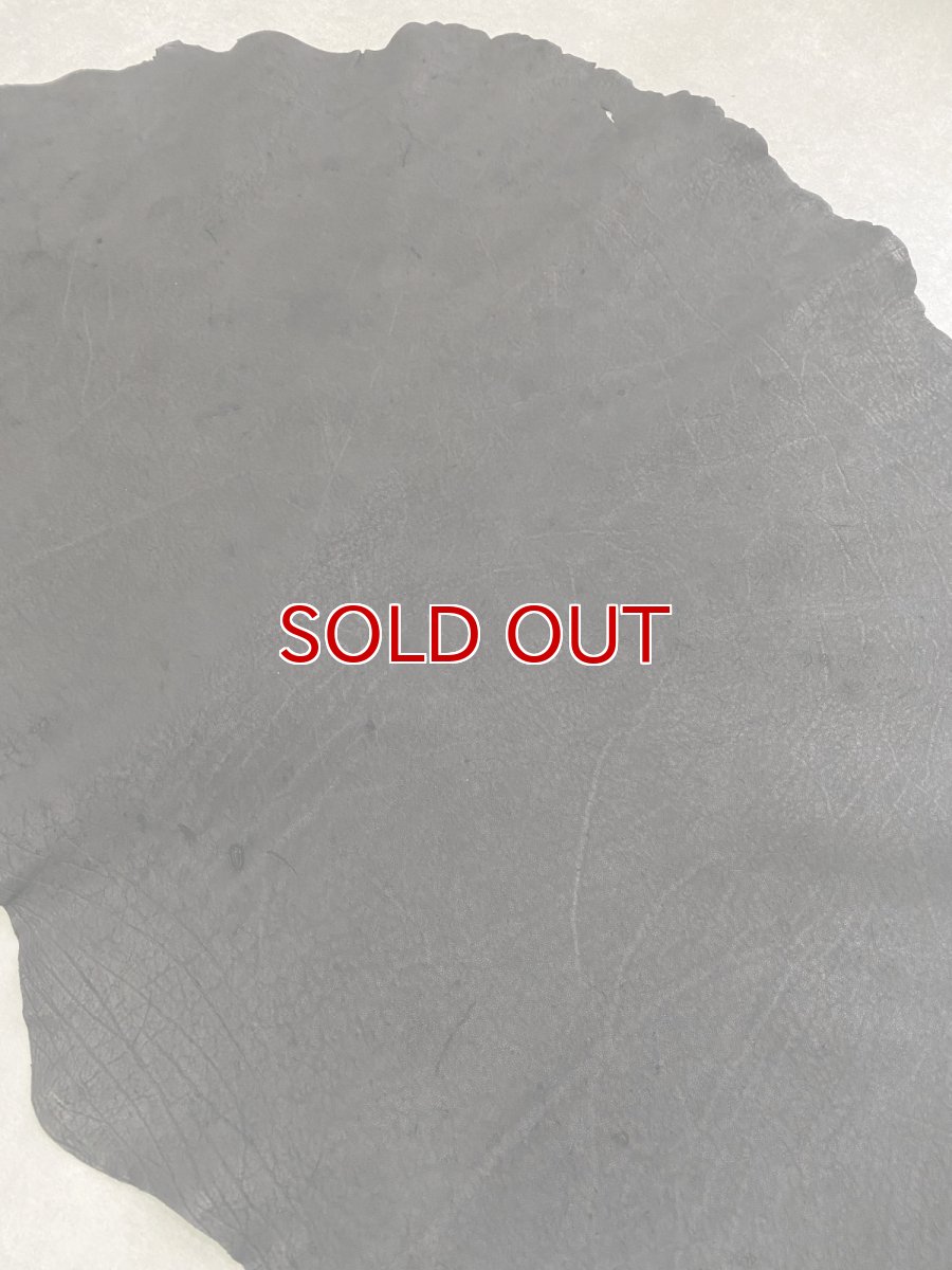 画像4: エレファントレザー　ブラック　ゾウ革　象革　耳　エキゾチックレザー (4)