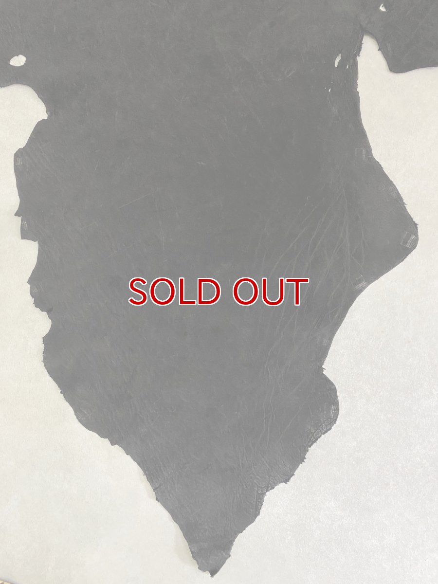 画像5: エレファントレザー　ブラック　ゾウ革　象革　耳　エキゾチックレザー (5)