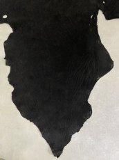 画像5: エレファントレザー　ブラック　ゾウ革　象革　耳　エキゾチックレザー (5)