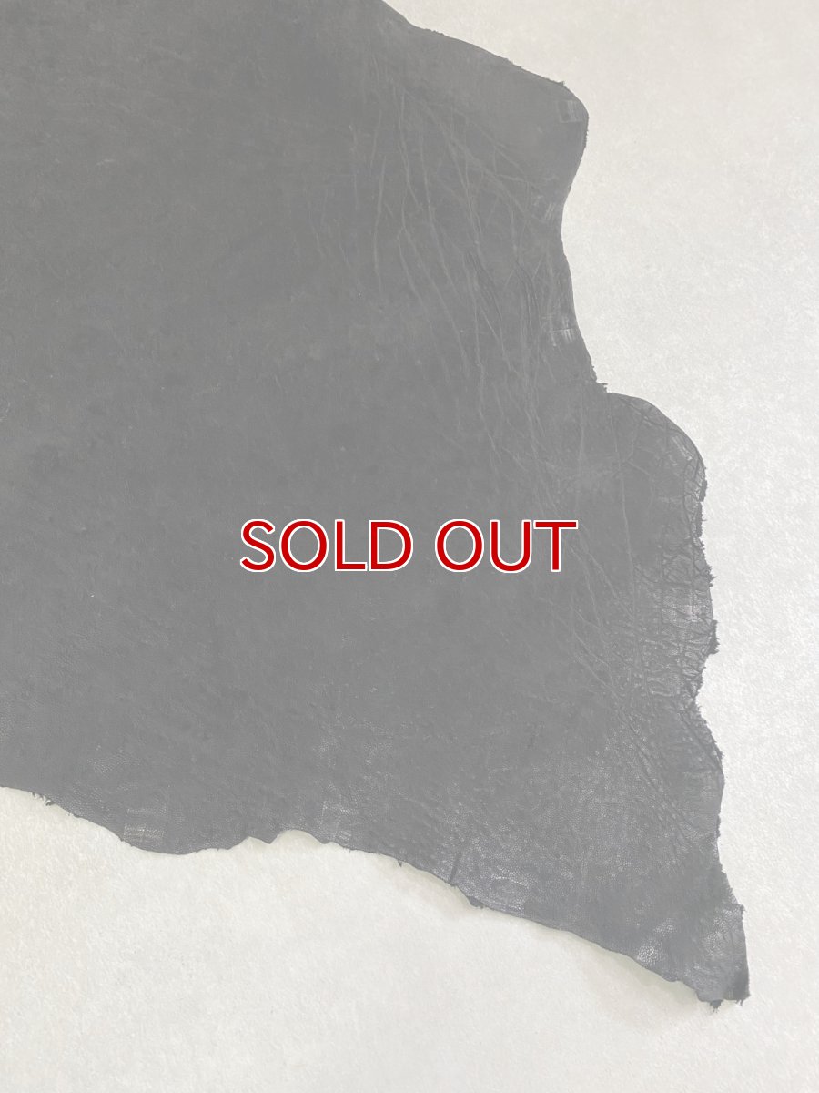 画像9: エレファントレザー　ブラック　ゾウ革　象革　耳　エキゾチックレザー (9)