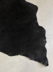 画像9: エレファントレザー　ブラック　ゾウ革　象革　耳　エキゾチックレザー (9)