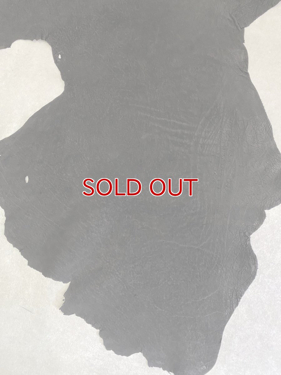 画像5: エレファントレザー　ブラック　ゾウ革　象革　耳　エキゾチックレザー (5)