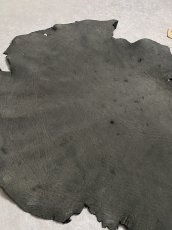 画像6: エレファントレザー　ダークグレー　ゾウ革　象革　耳　エキゾチックレザー (6)