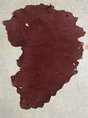 画像1: エレファントレザー　ボルドー　ゾウ革　象革　耳　エキゾチックレザー (1)
