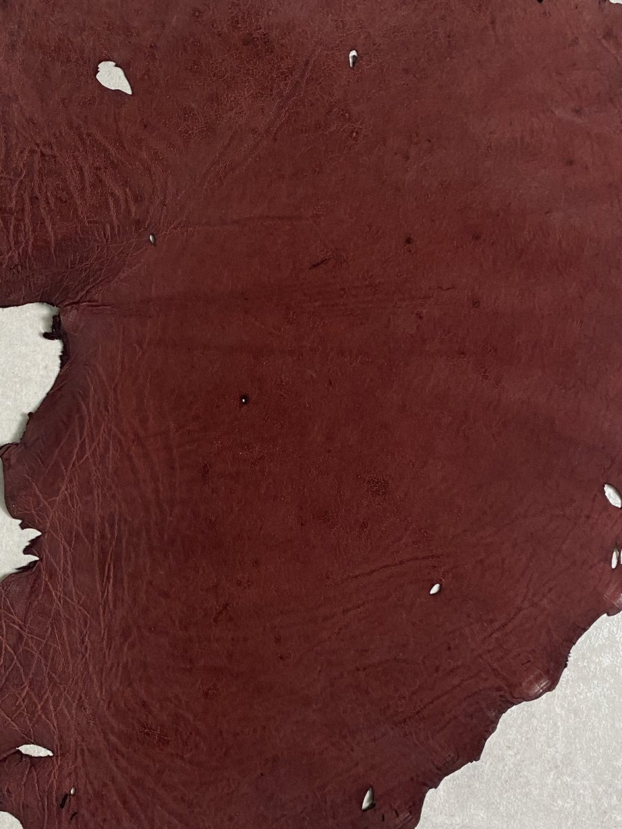 画像2: エレファントレザー ボルドー ゾウ革 象革 耳 エキゾチックレザー (2)