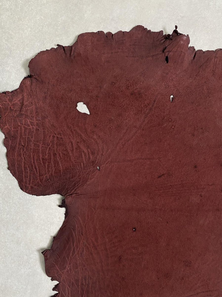 画像3: エレファントレザー ボルドー ゾウ革 象革 耳 エキゾチックレザー (3)