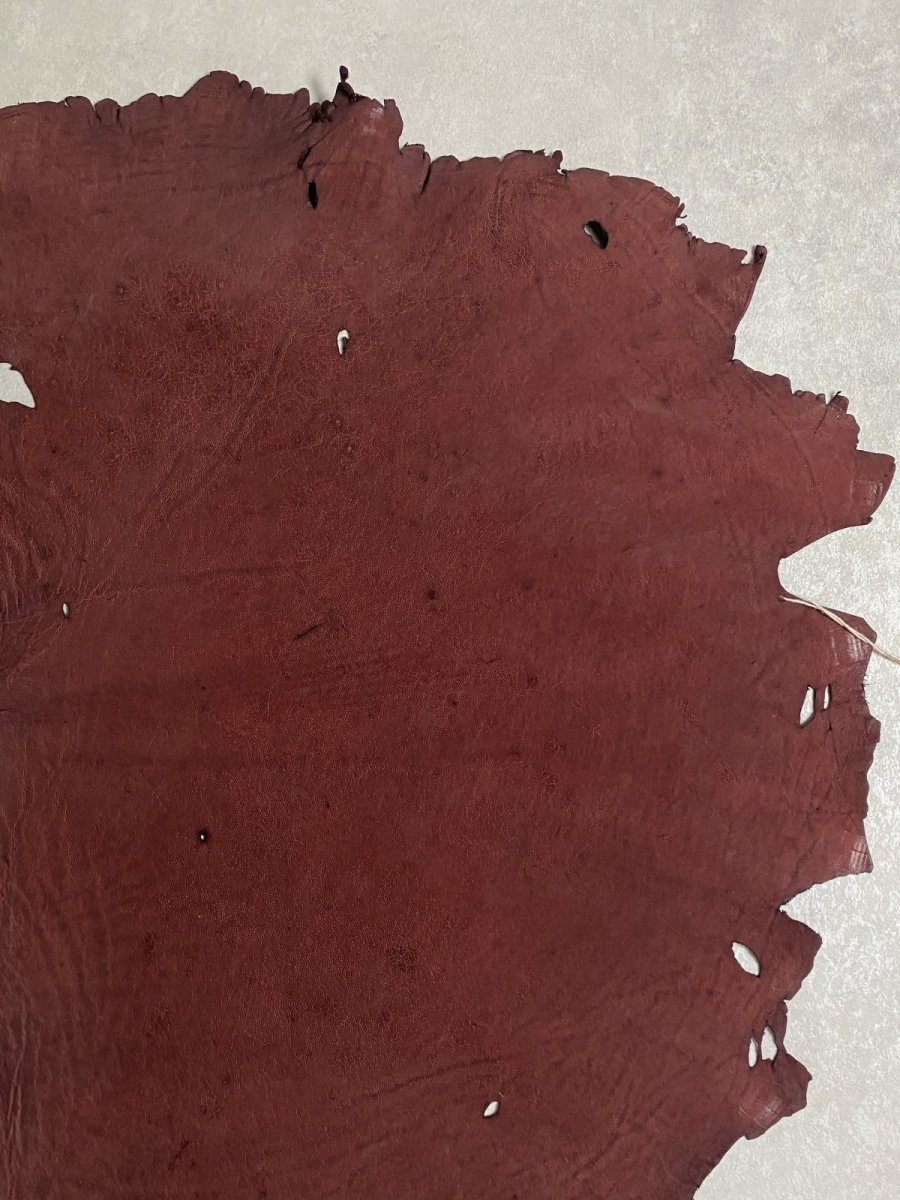 画像4: エレファントレザー ボルドー ゾウ革 象革 耳 エキゾチックレザー (4)