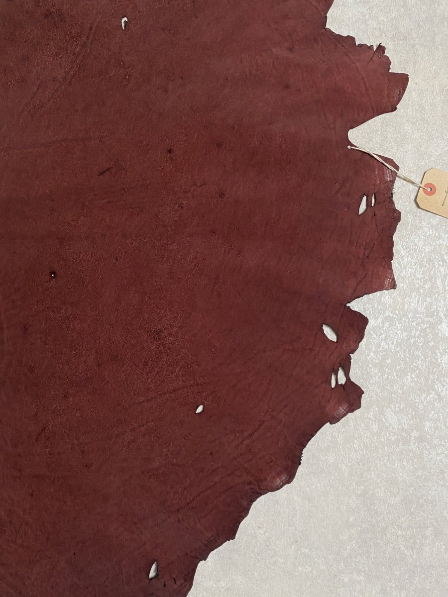 画像6: エレファントレザー ボルドー ゾウ革 象革 耳 エキゾチックレザー (6)