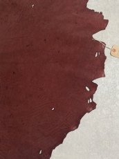 画像6: エレファントレザー　ボルドー　ゾウ革　象革　耳　エキゾチックレザー (6)
