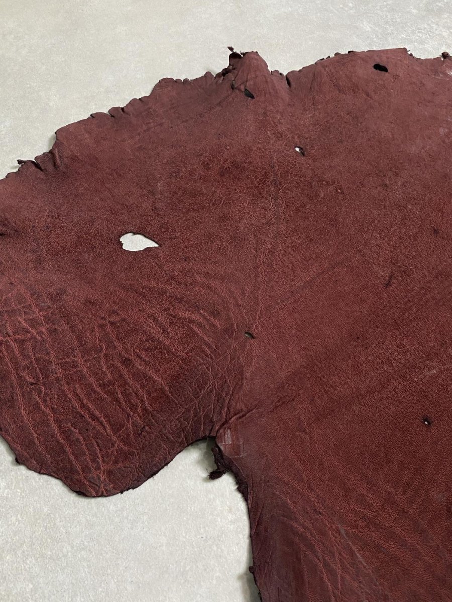 画像7: エレファントレザー ボルドー ゾウ革 象革 耳 エキゾチックレザー (7)