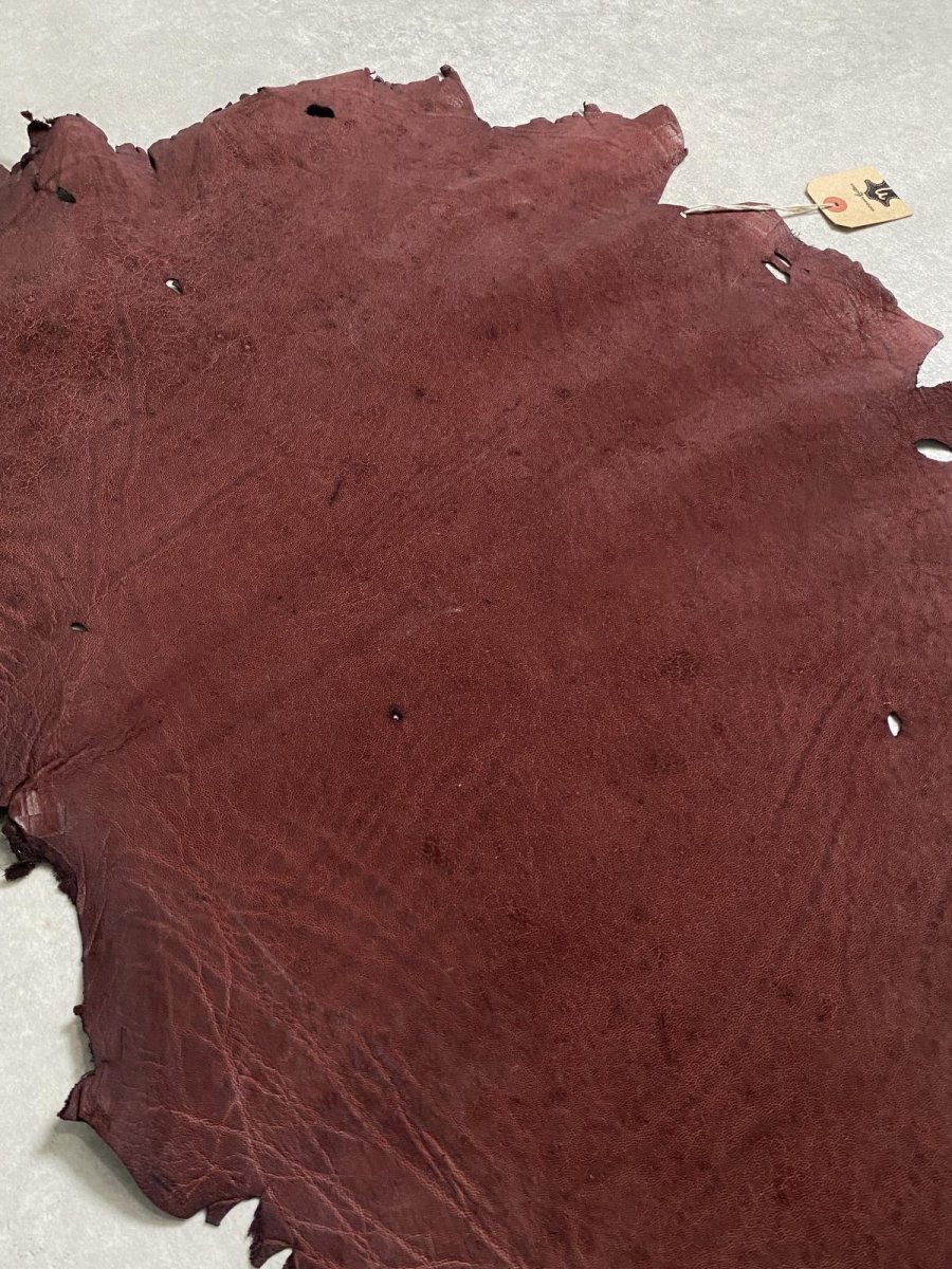 画像8: エレファントレザー ボルドー ゾウ革 象革 耳 エキゾチックレザー (8)