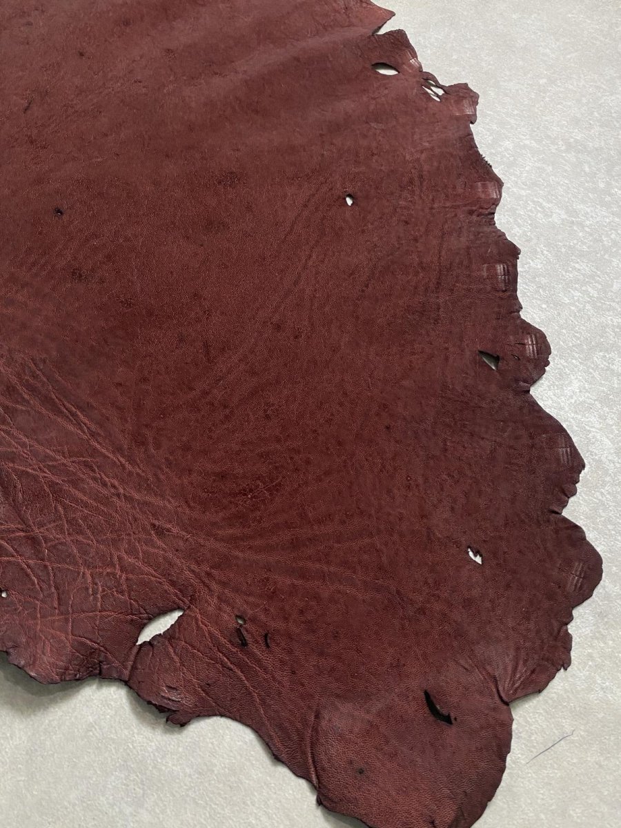 画像9: エレファントレザー ボルドー ゾウ革 象革 耳 エキゾチックレザー (9)