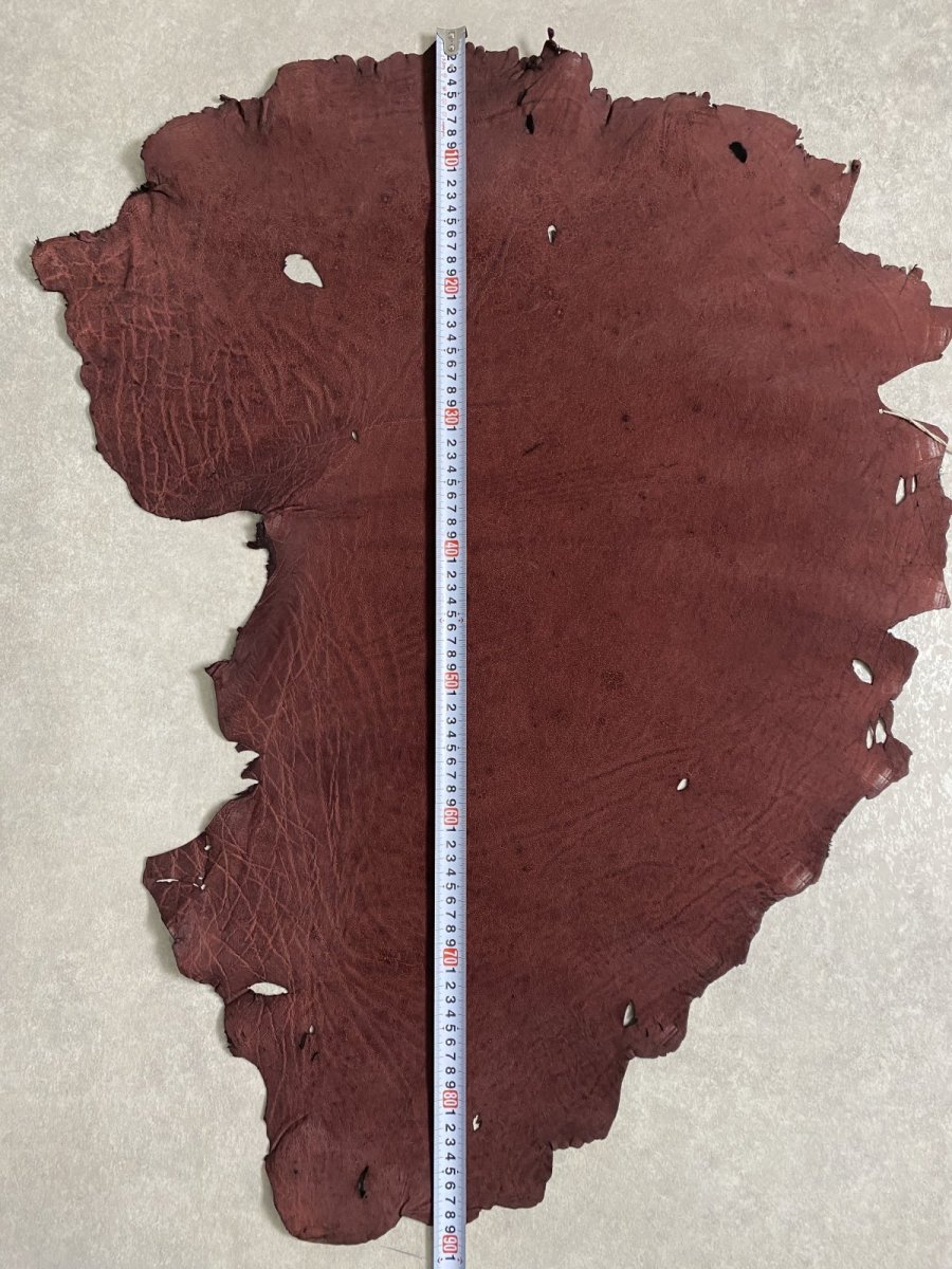 画像10: エレファントレザー ボルドー ゾウ革 象革 耳 エキゾチックレザー (10)