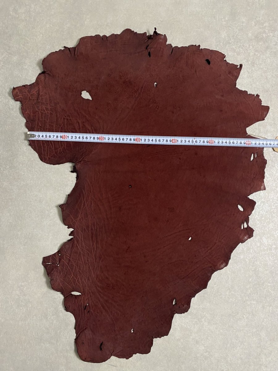 画像11: エレファントレザー ボルドー ゾウ革 象革 耳 エキゾチックレザー (11)