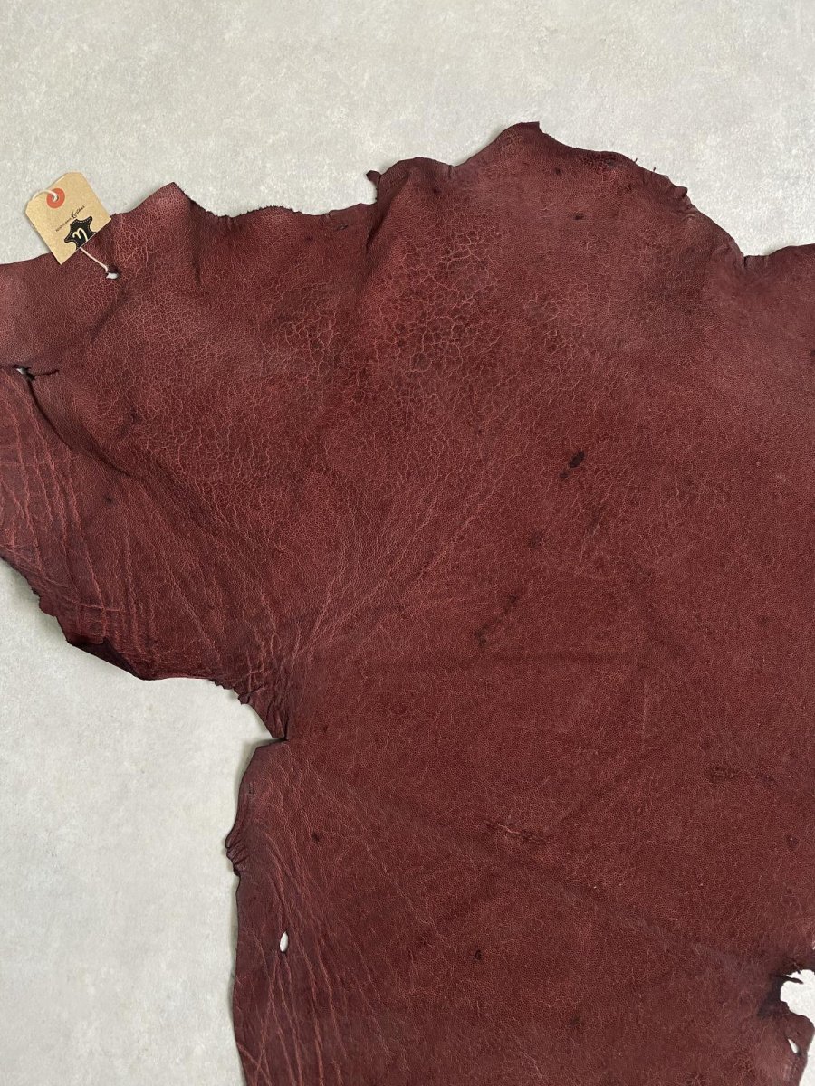 画像2: エレファントレザー ボルドー ゾウ革 象革 耳 エキゾチックレザー (2)