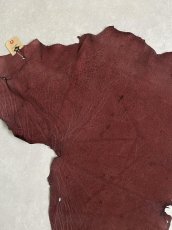 画像2: エレファントレザー　ボルドー　ゾウ革　象革　耳　エキゾチックレザー (2)