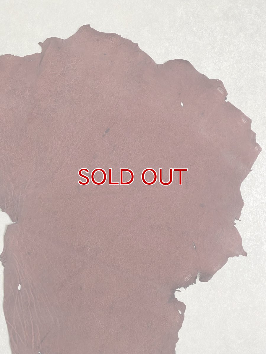 画像3: エレファントレザー　ボルドー　ゾウ革　象革　耳　エキゾチックレザー (3)