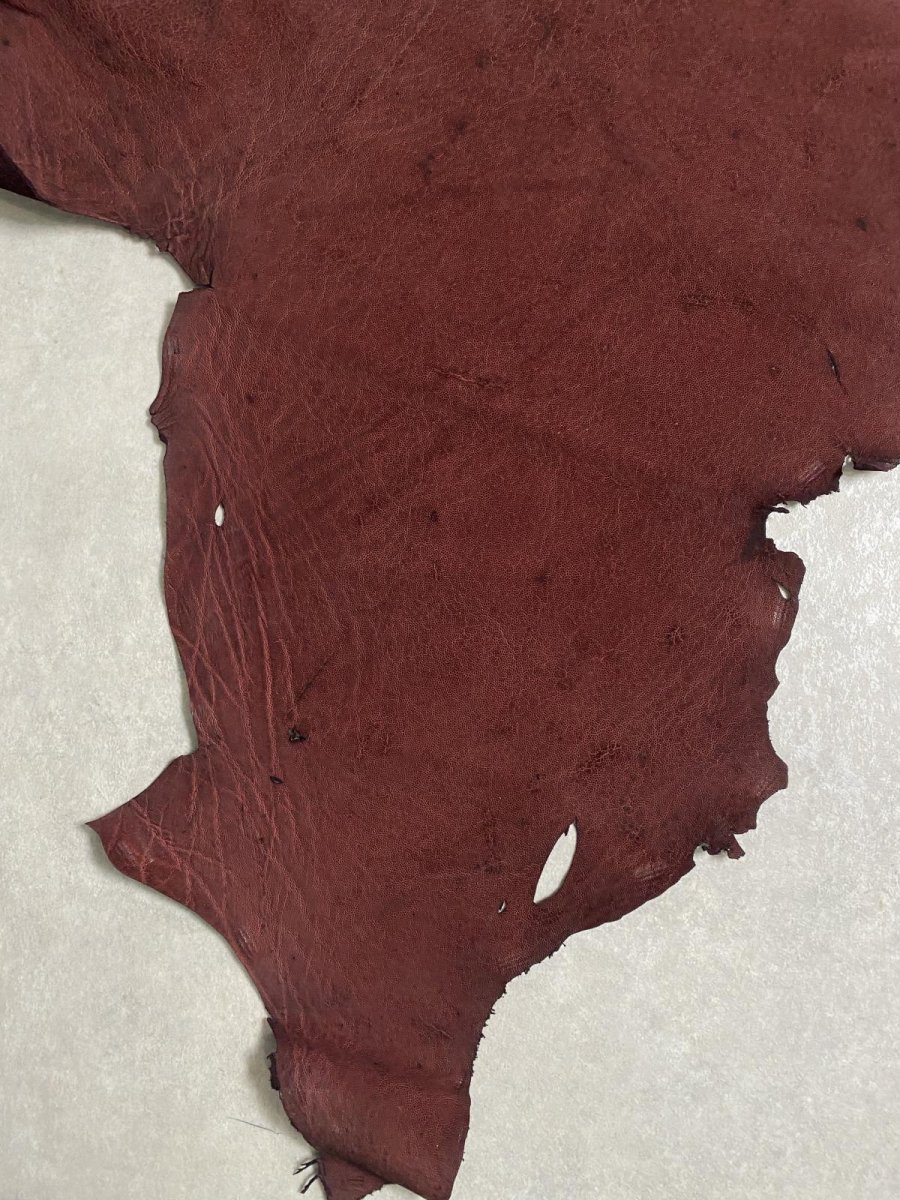 画像4: エレファントレザー ボルドー ゾウ革 象革 耳 エキゾチックレザー (4)