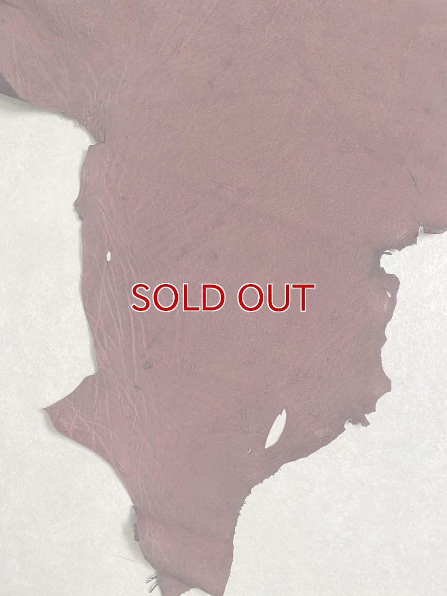 画像4: エレファントレザー　ボルドー　ゾウ革　象革　耳　エキゾチックレザー (4)