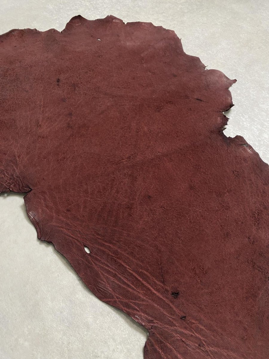 画像6: エレファントレザー ボルドー ゾウ革 象革 耳 エキゾチックレザー (6)