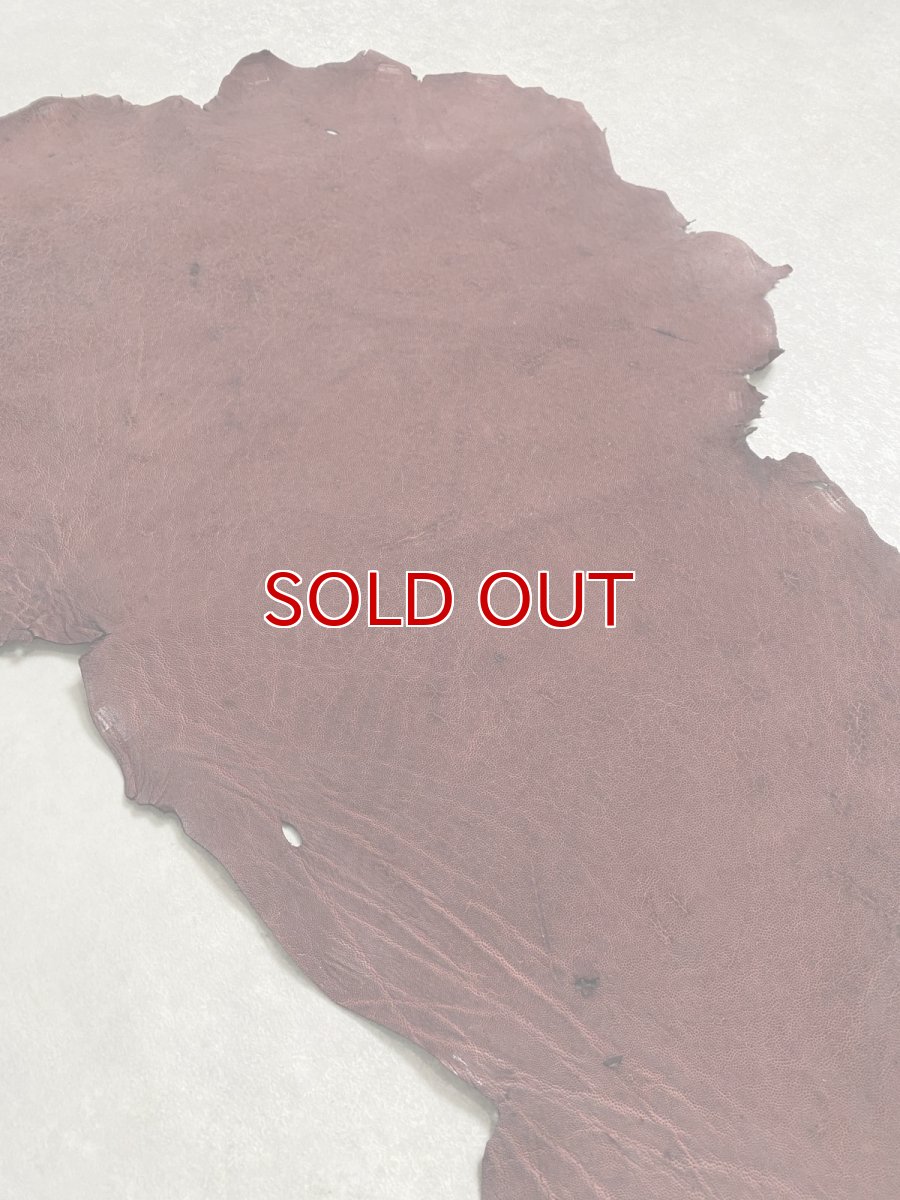 画像6: エレファントレザー　ボルドー　ゾウ革　象革　耳　エキゾチックレザー (6)