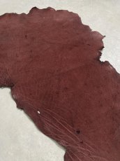 画像6: エレファントレザー　ボルドー　ゾウ革　象革　耳　エキゾチックレザー (6)