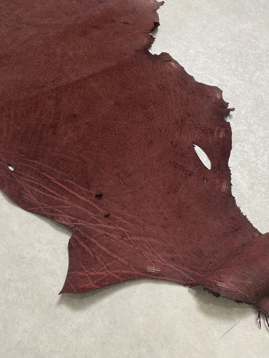 画像7: エレファントレザー ボルドー ゾウ革 象革 耳 エキゾチックレザー (7)