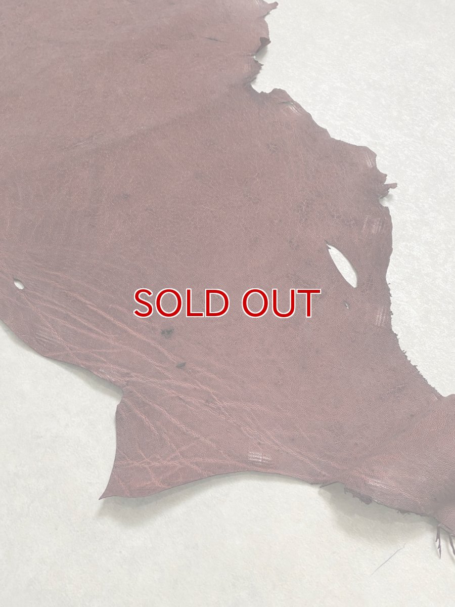 画像7: エレファントレザー　ボルドー　ゾウ革　象革　耳　エキゾチックレザー (7)