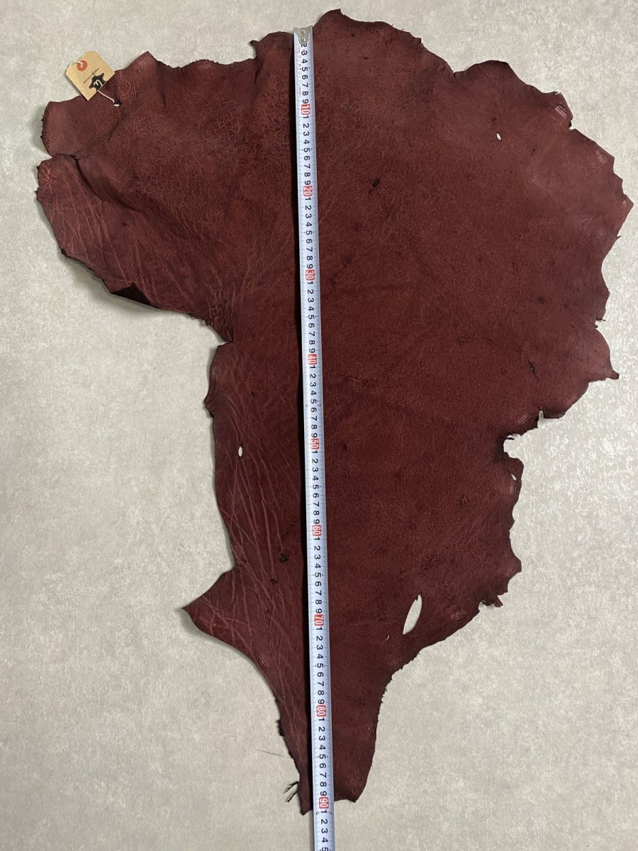 画像8: エレファントレザー ボルドー ゾウ革 象革 耳 エキゾチックレザー (8)