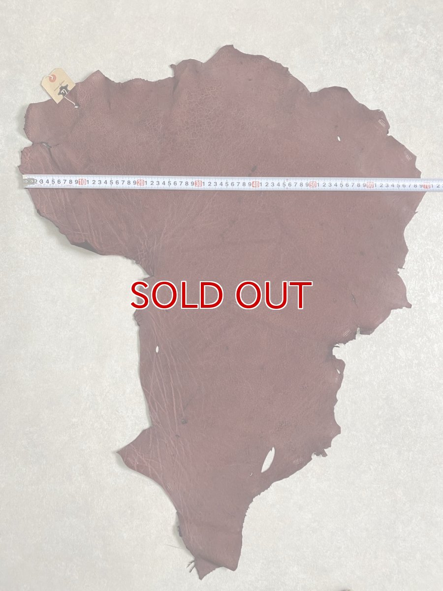 画像9: エレファントレザー　ボルドー　ゾウ革　象革　耳　エキゾチックレザー (9)