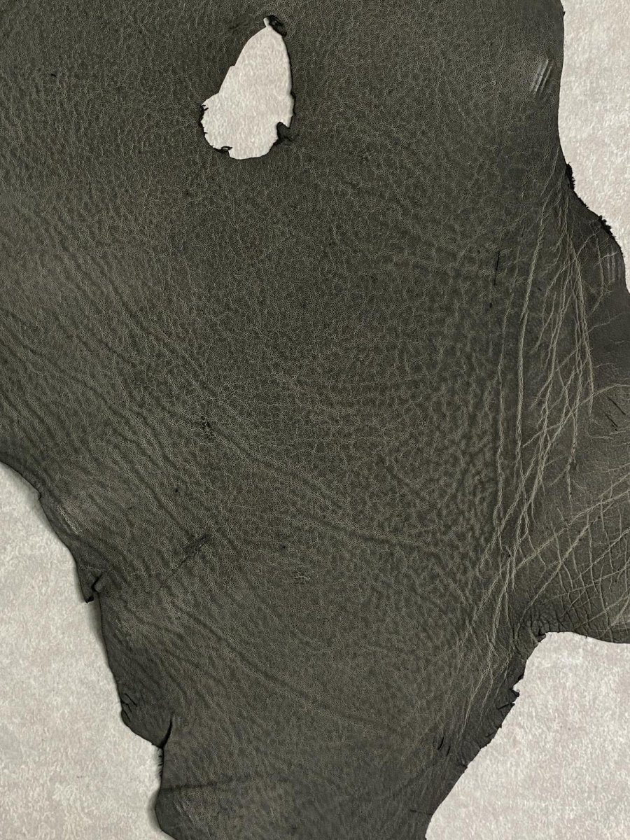画像3: エレファントレザー　ダークグレー　ゾウ革　象革　耳　エキゾチックレザー (3)