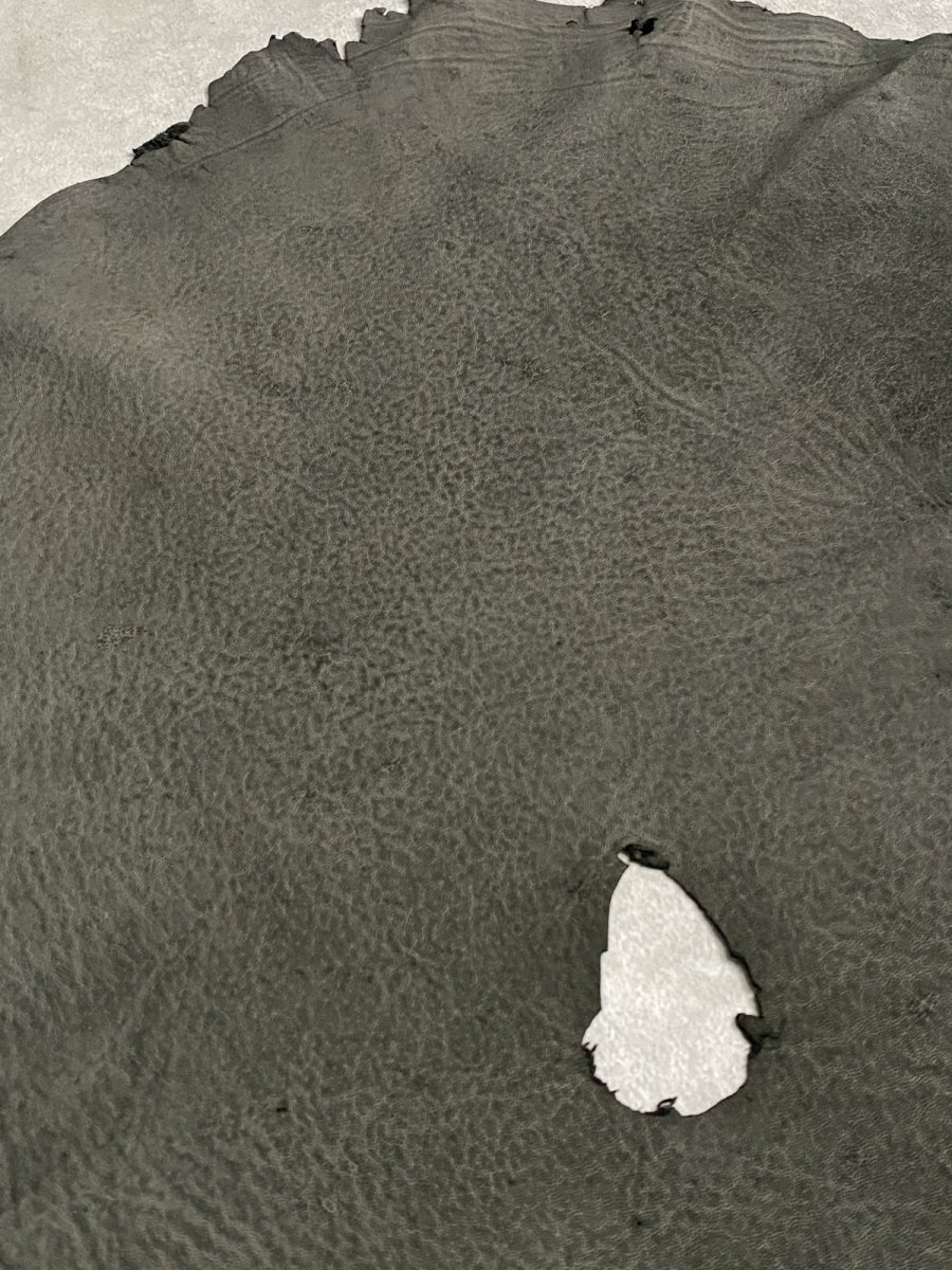 画像8: エレファントレザー　ダークグレー　ゾウ革　象革　耳　エキゾチックレザー (8)