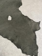 画像7: エレファントレザー　ダークグレー　ゾウ革　象革　耳　エキゾチックレザー (7)