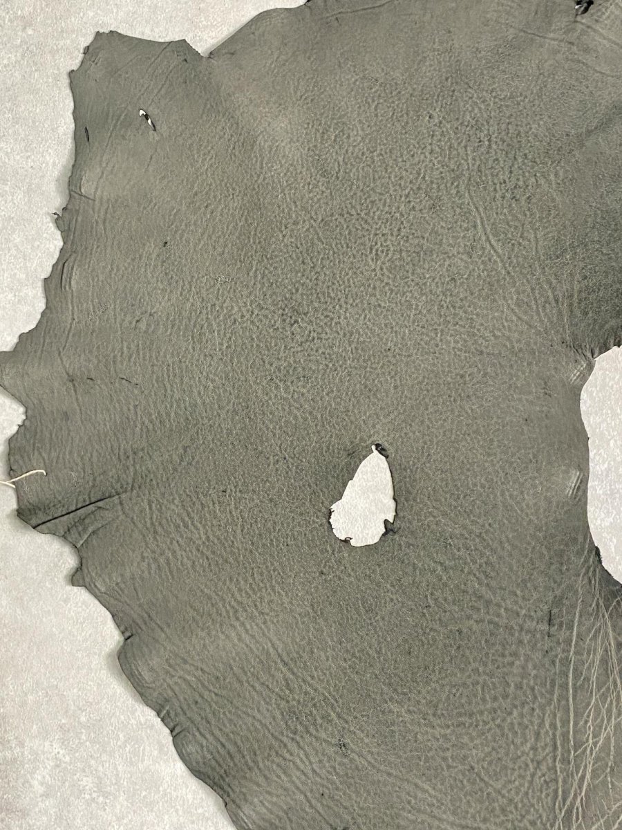 画像2: エレファントレザー　ダークグレー　ゾウ革　象革　耳　エキゾチックレザー (2)