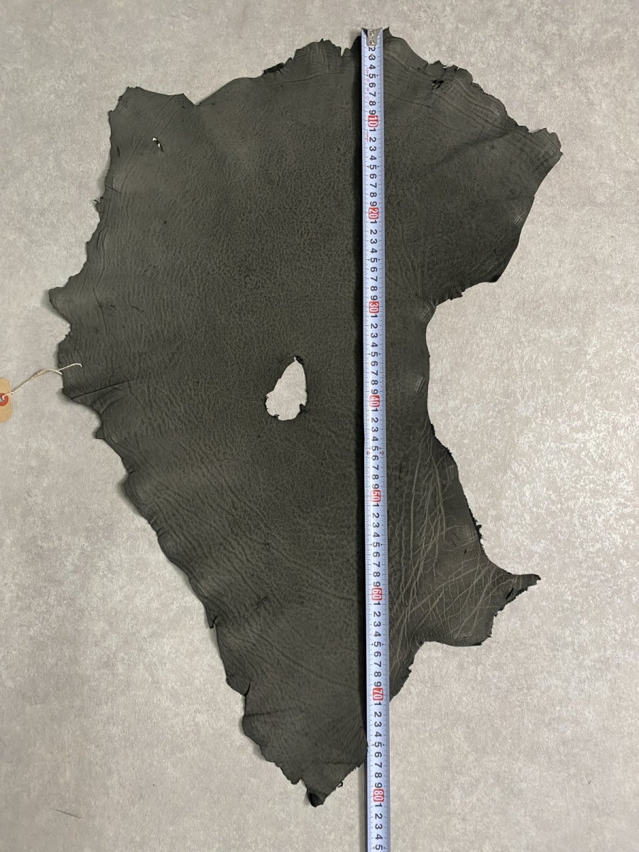 画像9: エレファントレザー　ダークグレー　ゾウ革　象革　耳　エキゾチックレザー (9)