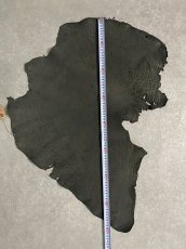 画像7: エレファントレザー　ダークグレー　ゾウ革　象革　耳　エキゾチックレザー (7)