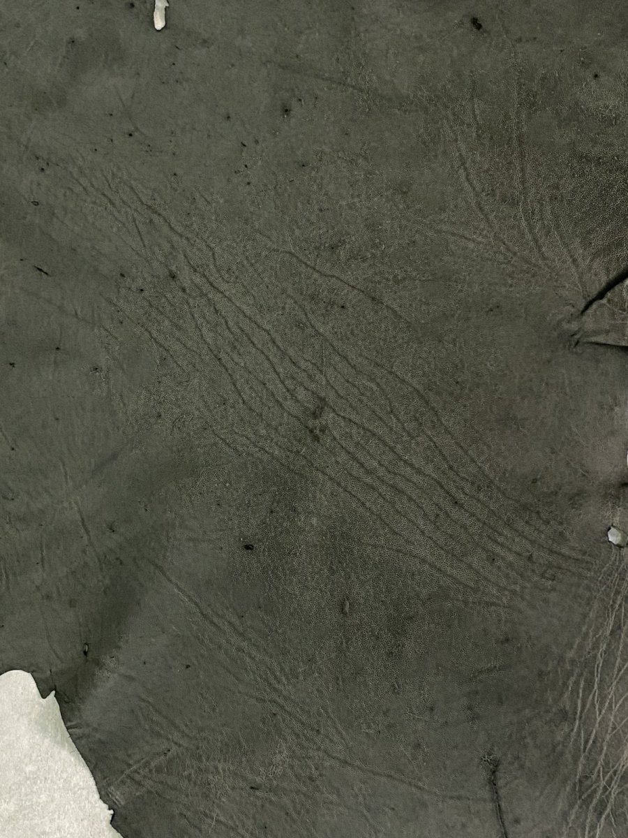 画像2: エレファントレザー　ダークグレー　ゾウ革　象革　耳　エキゾチックレザー (2)