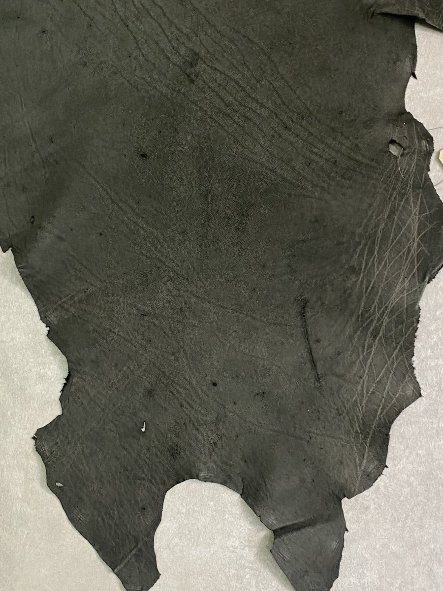 画像4: エレファントレザー　ダークグレー　ゾウ革　象革　耳　エキゾチックレザー (4)