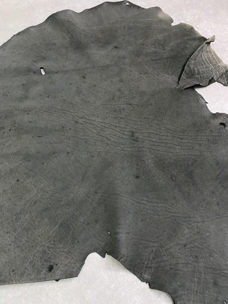 画像6: エレファントレザー　ダークグレー　ゾウ革　象革　耳　エキゾチックレザー (6)