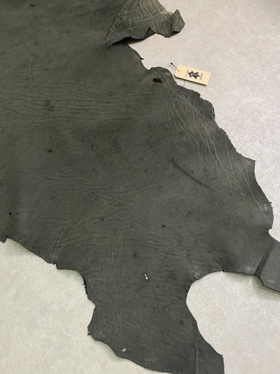 画像7: エレファントレザー　ダークグレー　ゾウ革　象革　耳　エキゾチックレザー (7)