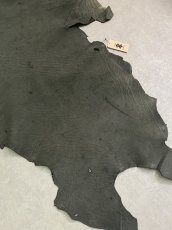 画像7: エレファントレザー　ダークグレー　ゾウ革　象革　耳　エキゾチックレザー (7)