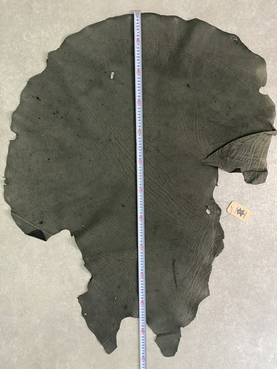 画像8: エレファントレザー　ダークグレー　ゾウ革　象革　耳　エキゾチックレザー (8)