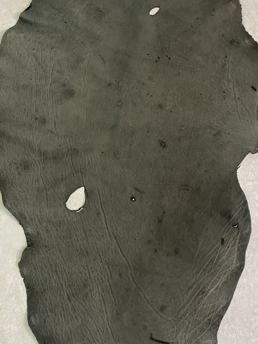 画像5: エレファントレザー　ダークグレー　ゾウ革　象革　耳　エキゾチックレザー (5)