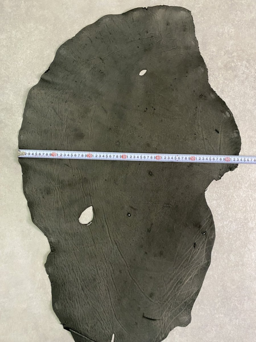 画像7: エレファントレザー　ダークグレー　ゾウ革　象革　耳　エキゾチックレザー (7)