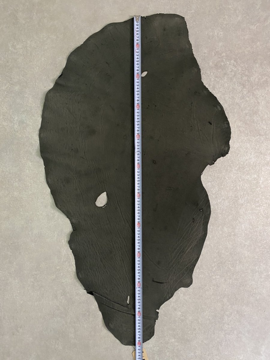 画像6: エレファントレザー　ダークグレー　ゾウ革　象革　耳　エキゾチックレザー (6)