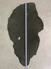画像6: エレファントレザー　ダークグレー　ゾウ革　象革　耳　エキゾチックレザー (6)