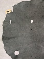 画像5: エレファントレザー　ダークグレー　ゾウ革　象革　耳　エキゾチックレザー (5)