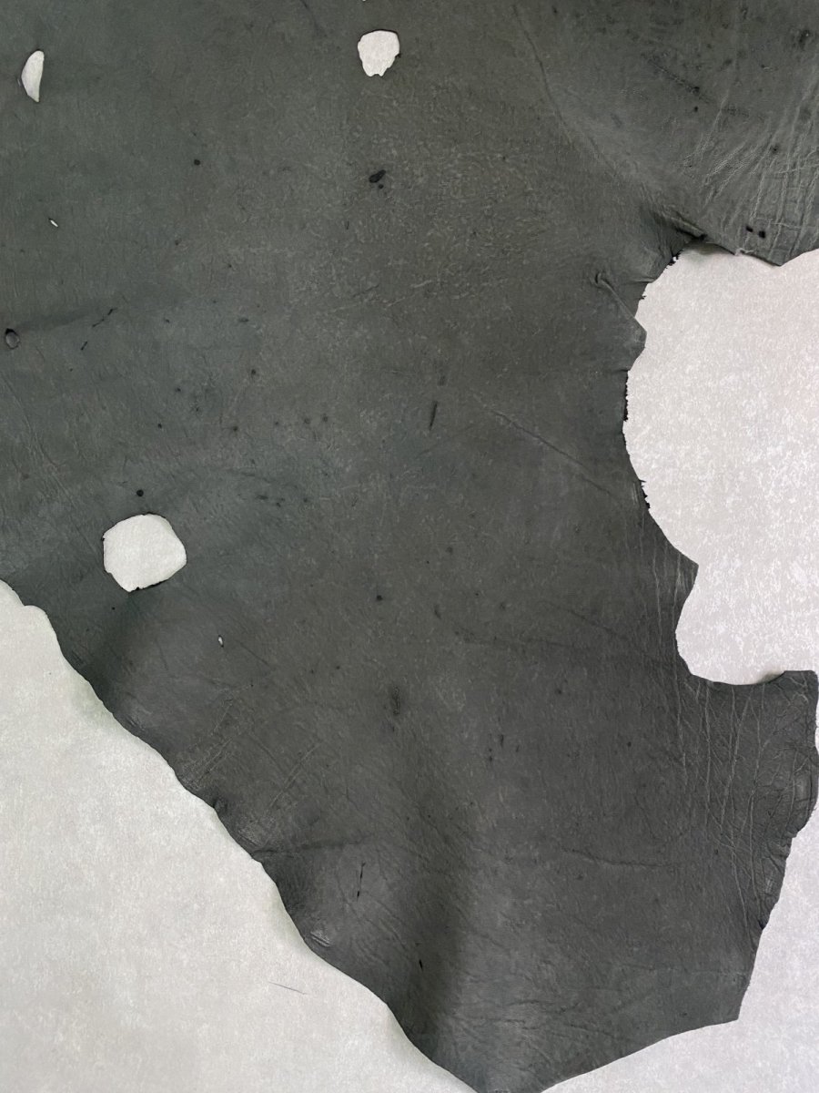 画像6: エレファントレザー　ダークグレー　ゾウ革　象革　耳　エキゾチックレザー (6)